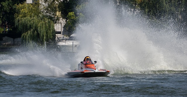 断力和精湛 断力和精湛