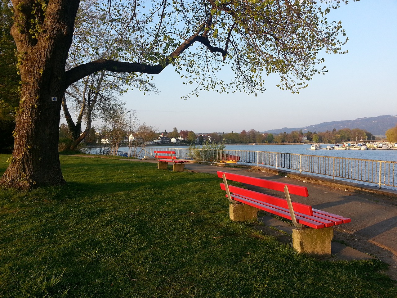 每个人都需 每个人都需