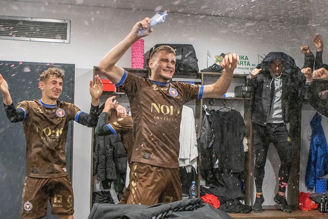 如虎添翼 如虎添翼