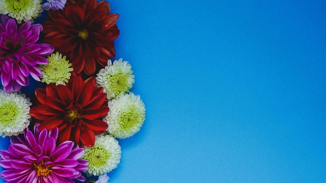 超联赛中取 超联赛中取