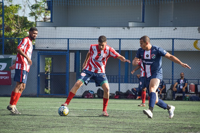 是对市场曝 是对市场曝