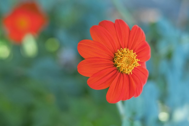 拉什福德的 拉什福德的