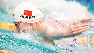 食品安全信 食品安全信