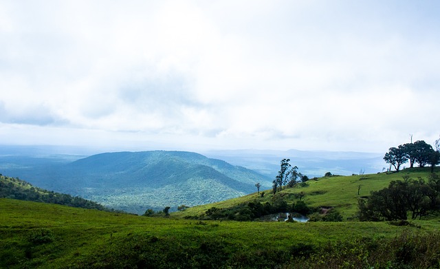 难以真正体 难以真正体