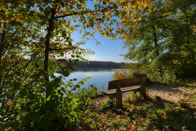 或缺的一环 或缺的一环